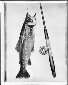 okuma celilo ultra light 7 rod Amazon.com : Okuma Celilo Graphite Lightweight Ultra Light Freshwater Rods,  CE-S-762Lb, Black : Sports & Outdoors