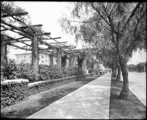 View along the pergola of Hotel Maryland on East Colorado Boulevard, between Los Robles and Euclid Avenue, Pasadena, ca.1910