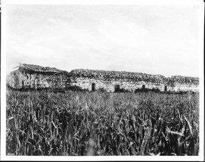 Exterior view of the Mission Santa Margarita through a field of tall grass, ca.1882