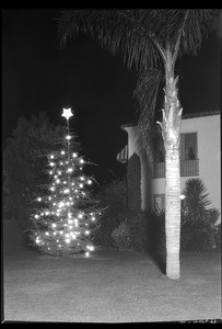 Small Christmas tree outside of a house