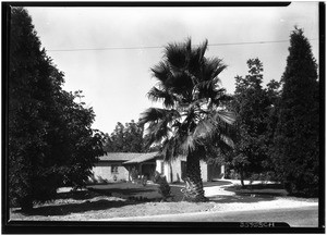 Patio of ranch, house at H.W. Mennig's pear ranch, a half mile northeast of Palmdale, August 1929