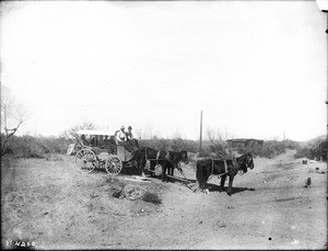 Full stagecoach along a dirt road, Yuma, ca.1905