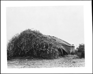 Exterior view of the Palomares Adobe in extreme disrepair, shown from the narrow side, Pomonoa, ca.1938