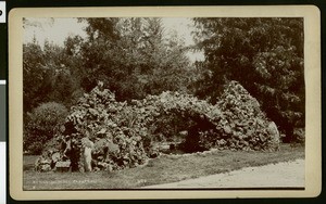 Kenington Place garden, Pasadena, 1900-1903