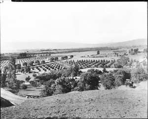 Panoramic view of Hollywood, looking west from Laughlin Park, 1903