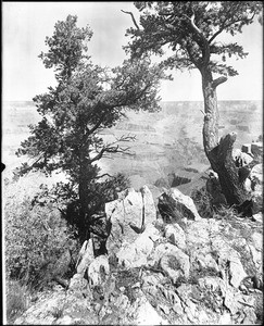 A spectacular view of the canyon along the Bright Angel trail, Grand Canyon, ca.1900-1930