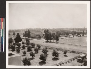 Unidentified citrus processing plant, ca.1910