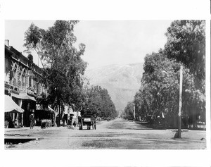 Euclid Avenue in Ontario, looking north toward the mountains, 1895