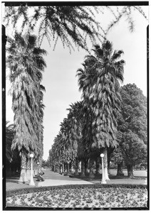 South Park scenic view, March 29, 1926