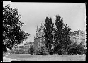 Exterior view of Los Angeles High School from behind a stand of trees