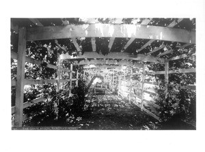 Grape arbor at Camulos Ranch--Ramona's home, ca.1885