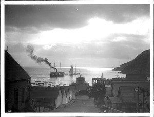 Moonlight excursion on Avalon harbor, Santa Catalina Island, ca.1896-1910