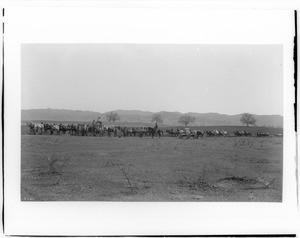 Plowing and seeding 5,000 acres of wheat