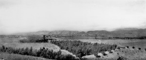 Panorama of Cahuenga Valley looking north from Prospect Hill, showing the property of G.J. Griffith, Hollywood, California, ca.1900