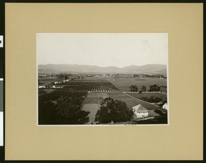 Panoramic view of Napa, showing fields, ca.1907
