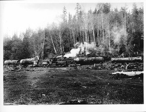 Logging train with engine capable of hauling log train up steep grades, ca.1900