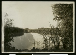 Irrigation canal at El Centro, ca.1910