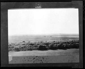 Oil field in Huntington Beach seen through fog, 1935