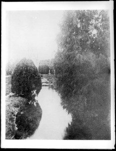 Close-up of a zanja (irrigation ditch) in Sixth Street Park (later Pershing Square), Los Angeles, ca.1876-1880