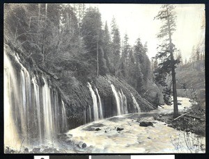 Waterfall in Shasta County