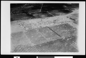 Aerial view of flooding, showing residential damage at Placentia, 1938