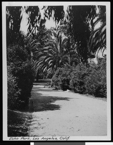 Wide dirt path in Echo Park, Los Angeles