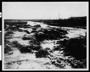 Flooded Los Angeles River looking southwest toward Wilmington, January 18-26, 1916