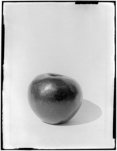 Close-up of a shiny red apple