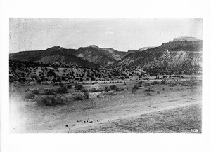 Buckman's road to the Paquate Canyon Indian cliff dwelling ruins, New Mexico, ca.1895