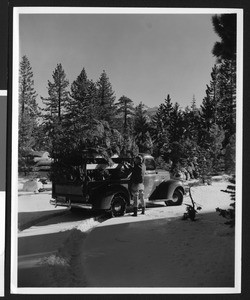 Man on a snowy flat fastening a fallen tree into the back of a pickup truck, ca.1930