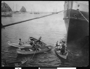 Avalon Bay at Santa Catalina Island, showing children diving for coins thrown from a steamer, ca.1905