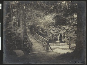 Wooden bridge across a creek in a forest