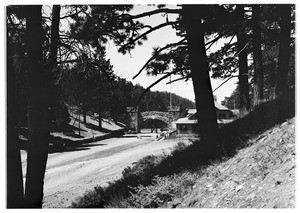 View of the arched-entrance to Big Pines Camp as seen between trees