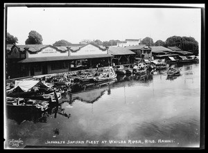 Japanese Sampan fleet at Wailoa River, in Hilo, Hawaii