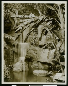 Waterfall at the California Botanic Gardens in Los Angeles