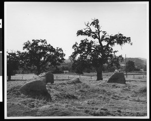 View of adobe ranch house ruins, Rancho Santa Isabel, San Luis Obispo County, ca.1900