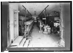 Interior of a wine cellar