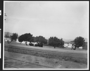 Oakland camp of Spanish American War volunteers, ca.1898