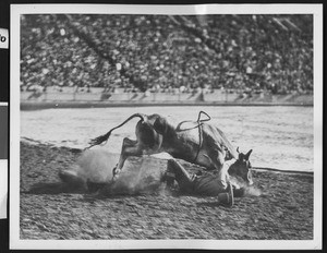 Rodeo cowpuncher, ca.1940