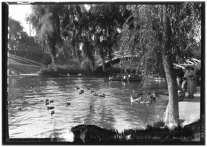 Several people watching the ducks swim in the waters of a large lake, as other people paddle in canoes below an arched bridge