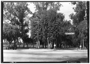 Santa Anita Avenue from Las Tunas Drive, showing trees in the middle of the street, drive on each side, Arcadia, October 30, 1930