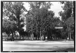 Santa Anita Avenue from Las Tunas Drive, showing trees in the middle of the street, drive on each side, Arcadia, October 30, 1930