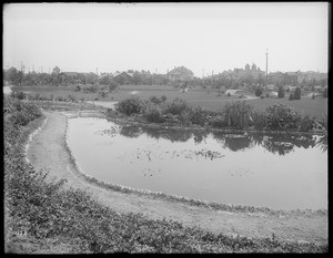 Lafayette Park (formerly Sunset Park) looking southeast, Los Angeles, ca.1900-1910