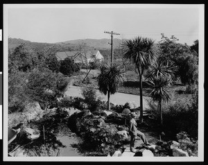 California Botanic Gardens, showing man standing on rocks in the garden