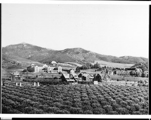 Panoramic view of early East Hollywood showing agricultural sites and the Immaculate Heart High School (later a College), Los Angeles, ca.1905