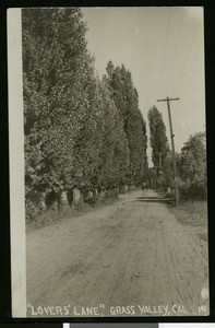 Nevada County Views, showing Lovers Lane in the Grass Valley, ca.1910