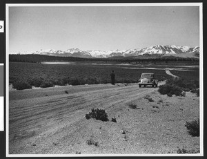 Motorist stopped on the road between Mono Mills and Lee Vining with the High Sierras in the distance