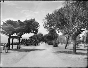 Four women strolling down the shady lane of "Lover's Walk", along the bluff in Palisades Park, Santa Monica, ca.1900-1912