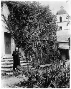 Portrait of Father Reguernes (or Regnerneo?) entering the holy (or sacred) garden of Mission Santa Barbara, 1895