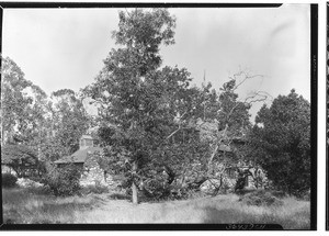 View of the west side of Charles F. Lummis' rock home, "El Alisal" in Highland Park, June 29, 1928